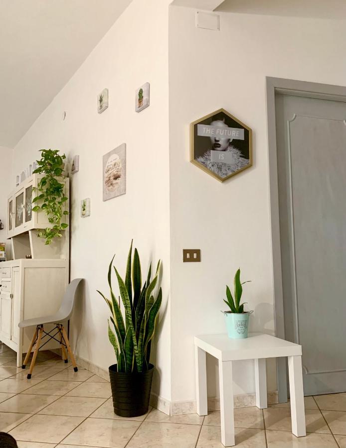 فيلا Butterfly House فيلابوتزو المظهر الخارجي الصورة